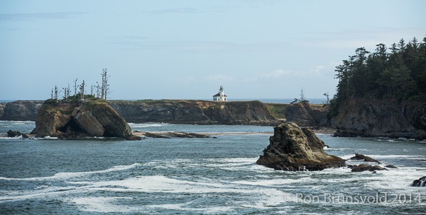 Cape Arago