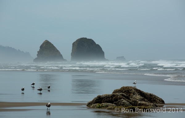 Cannon Beach