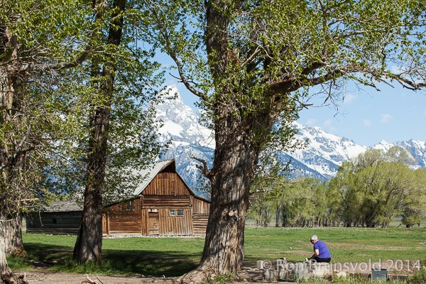 Mormon Barn